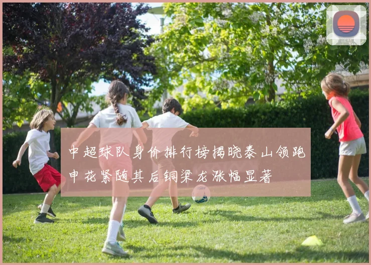中超球队身价排行榜揭晓泰山领跑申花紧随其后铜梁龙涨幅显著