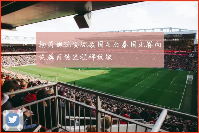 杨莉娜现场观战国足对泰国比赛向武磊百场里程碑致敬